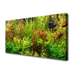 tulup.si Slika na platnu Aquarium fish rastline 100x50 cm