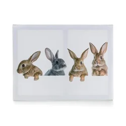 HOME DECOR Slika 4x RABBIT 40 x 30 x 2 cm