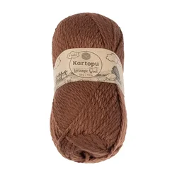 Preja MELANŽNA VOLNA - 100 g / 170 m - rjava