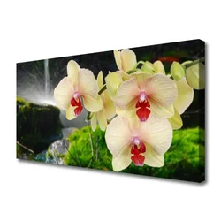 tulup.si Slika na platnu Posadi drevesa narava 100x50 cm