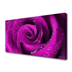 tulup.si Slika na platnu Rose flower rastlin narava 100x50 cm