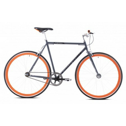 Capriolo Fastboy 2019 700/1ht grafit ( 919618-58 )