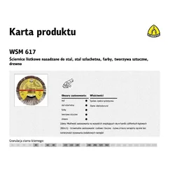 Lepezasti Brusni Kolutovi LS309X 125x20mm GR80 M14 277020