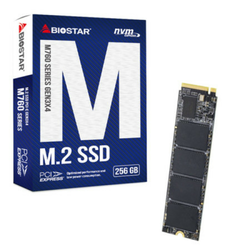 Biostar SSD M.2 NVMe M760 256GB, M760-256GB