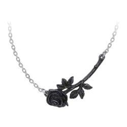 Ogrlica z obeskom ALCHEMY GOTHIC - Black Rose Enigma - Kositer - P913