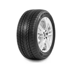 DAVANTI zimska guma 205 / 55 R16 91T Wintoura