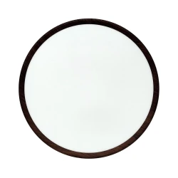LED plafonsko svetlo LED/32W/230V 3000/4000/6500K prečnik 40 cm braon