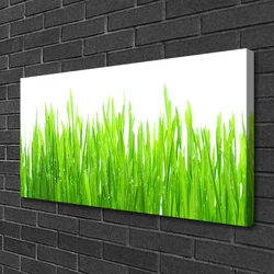 tulup.si Slika na platnu Grass nature rastlin 100x50 cm