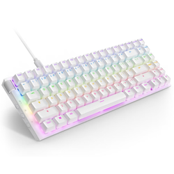 Function 2 MiniTKL mehanička tastatura US bela (KB-002NW-US)