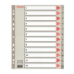 Esselte pregradni karton 1-12 A4 PP, siv (10)