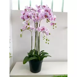 Orhideja u posudi, pink-115cm