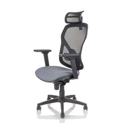 Heka Interier Ergonomski pisarniški stol Master Q4