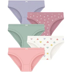 Petit Bateau  CULOTTES X 5  Večbarvna