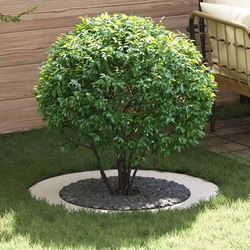 pogodno za ravne drvene prstenove 5 pcs Bijelo O60 / 90 cm Čelik