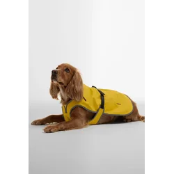 Barbour plašč za psa