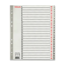 Esselte Maxi 1 - 31, 31 listov