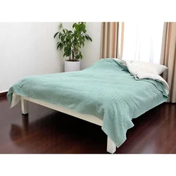 Frotirni prekrivač Winter 400g/m2 200x240cm Mint boja