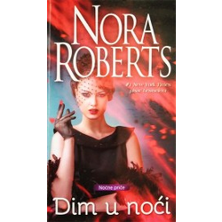 Dim u noći