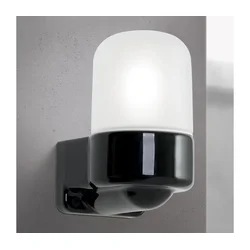 Orion - Zidna lampa OSTIA 1xE27/40W/230V crna