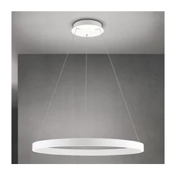 Orion - LED prigušiva luster na sajli KOLK LED/80W/230V 2700/3000/4000K prečnik 80 cm, beo