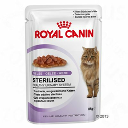 Royal Canin Sterilised u želeu - 24 x 85 g