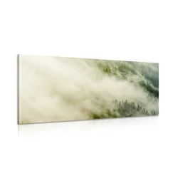 Slika megleni gozd - 140x70