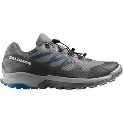 Salomon XA FLYER GTX, muške patike za trail trčanje, siva L47971800