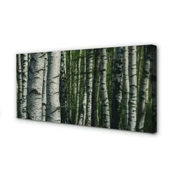 tulup.si Slika na platnu Breza gozd 125x50 cm