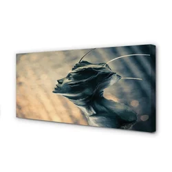 tulup.si Slika na platnu Oblika glave 140x70 cm