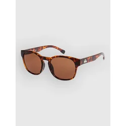 Quiksilver brown