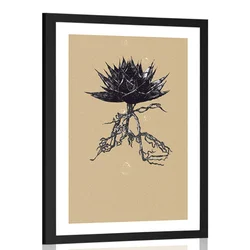 Plakat s paspartujem Aloe Vera v zemeljskih barvah - 40x60 silver