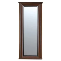Casa Padrino luxury Art Nouveau mirror dark brown 63.6 x 6.5 x H. 151 cm - Rectangular solid wood wall mirror - Wardrobe mirror - Baroque & Art Nouveau wardrobe furniture