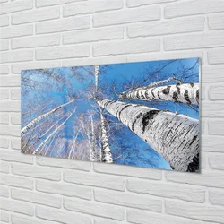 tulup.si Steklena slika Breza nebo 125x50 cm 2 obešalnika