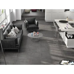 NEUTRA ANTHRACITE 30x60