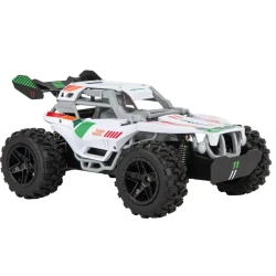 Carrera Team Rider, 2,4 GHz - 1 k.