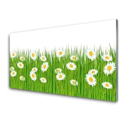tulup.si Steklena slika Grass daisies narava 140x70 cm 2 obešalnika