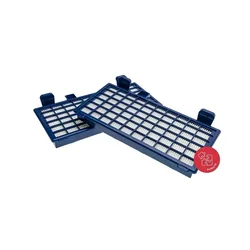 VACS Hepa filter ROWENTA RO 6227 X-TREM Power Cyclonic - 2 kom