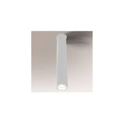 Shilo 7746 - Kupatilsko spot svetlo YABU 1xGU10-MR11/15W/230V IP44 belo