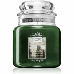 YANKEE CANDLE Evergreen Mist dišeča sveča Classic srednja 411 g