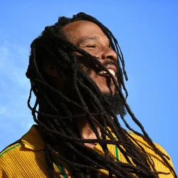 Ziggy Marley - Brightside (LP)