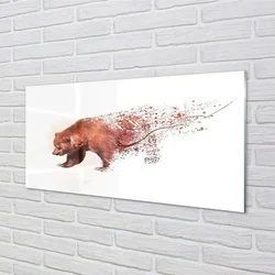 tulup.si Steklena slika Bear 100x50 cm 4 obešalnika