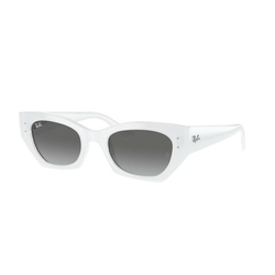 Ray-Ban Zena Naočare za sunce RB 4430 675911
