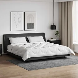 Set deka s jastukom 3 pcs Bijelo Mikrofibra i Pero