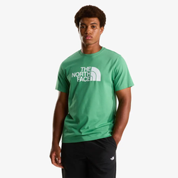The North Face Majica EVOLUTION HALF DOME REGULAR SHORT