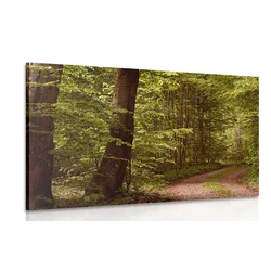 Slika zeleni gozd - 90x60