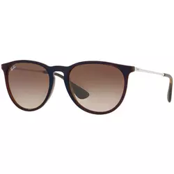 RAY-BAN sunčane naočale ERIKA RB4171 631513