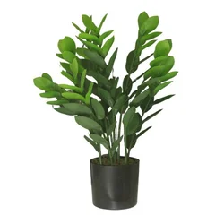 Dekordom Cvet u saksiji - money grass 7pcs - n60 ( 025151 )
