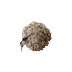 Čebulček Majski srebrnjak, 8-21 mm, 500 g