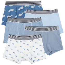 Petit Bateau BOXERS X 5 Večbarvna