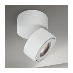 Orion AL 11-1220 - LED kupatilsko spot svetlo HARVEY LED/15W/230V IP65, belo